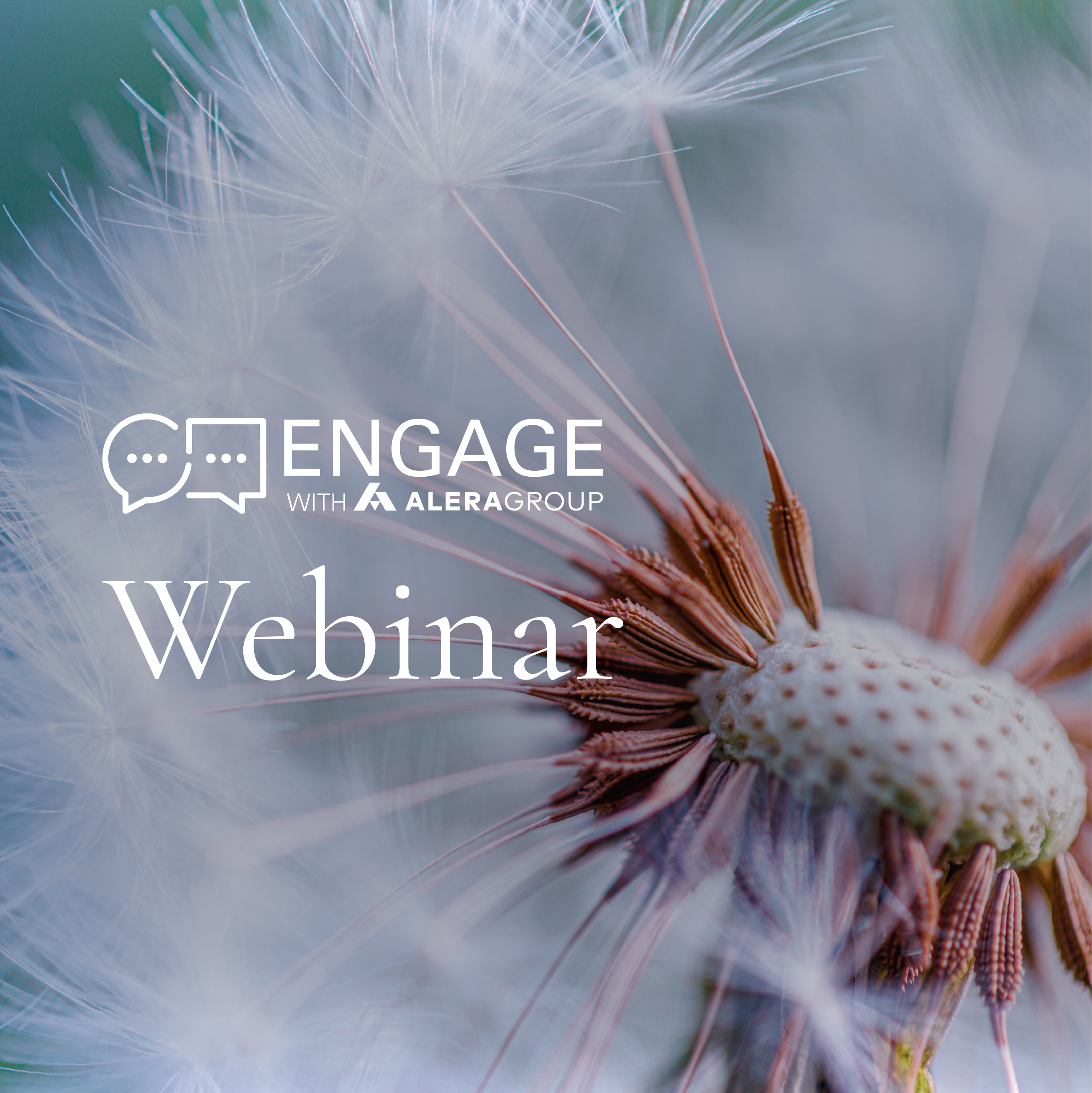 Webinar Graphic