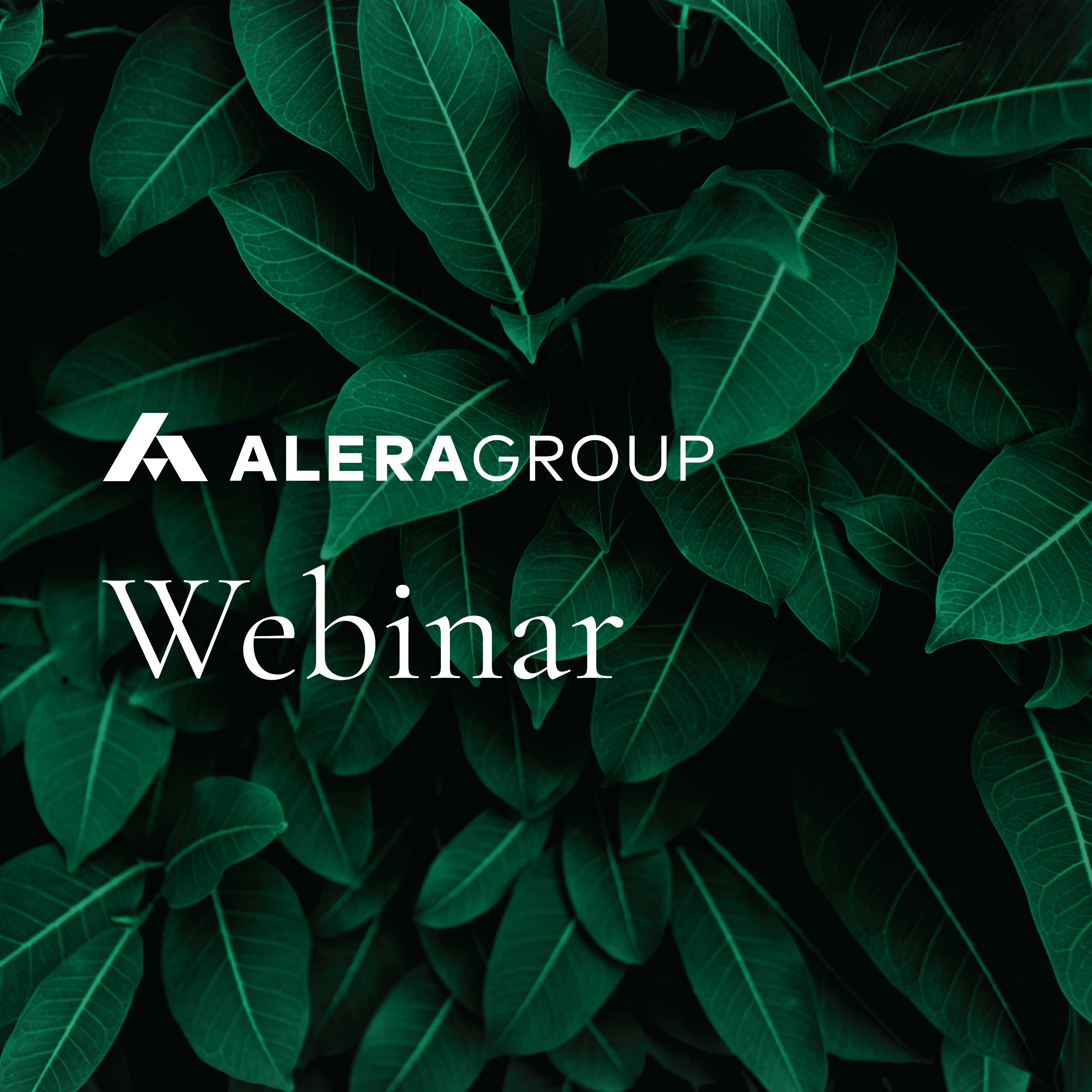 Webinar Graphic